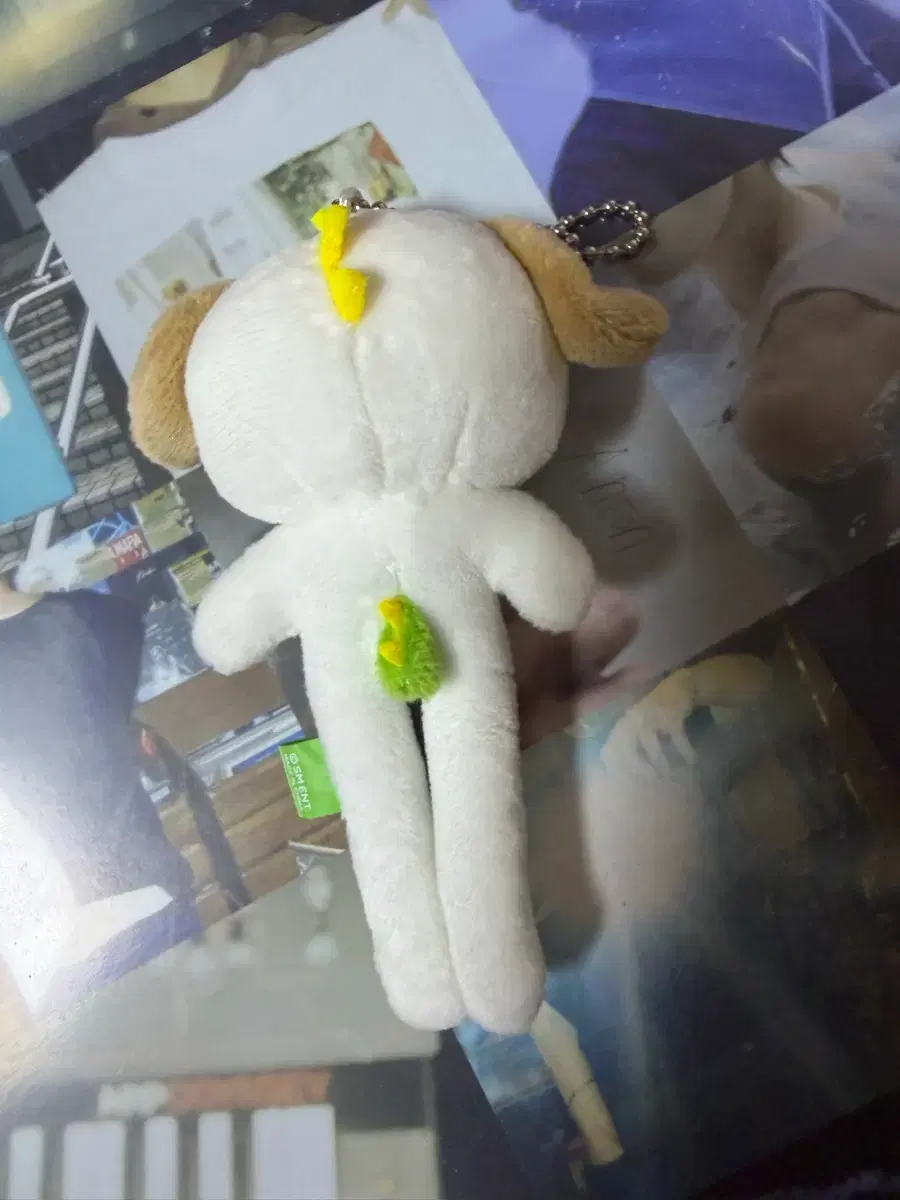 thumbnail-1